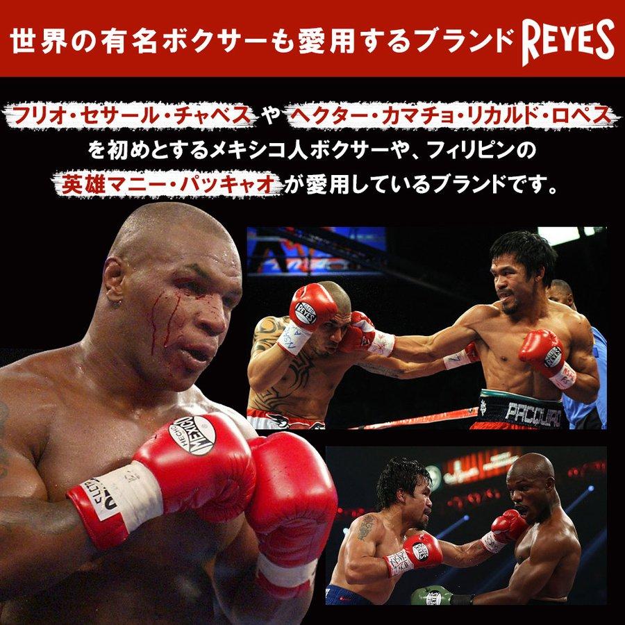 REYES ドラムミット Lサイズ 2.75kg 直径50cm パンチ ミット