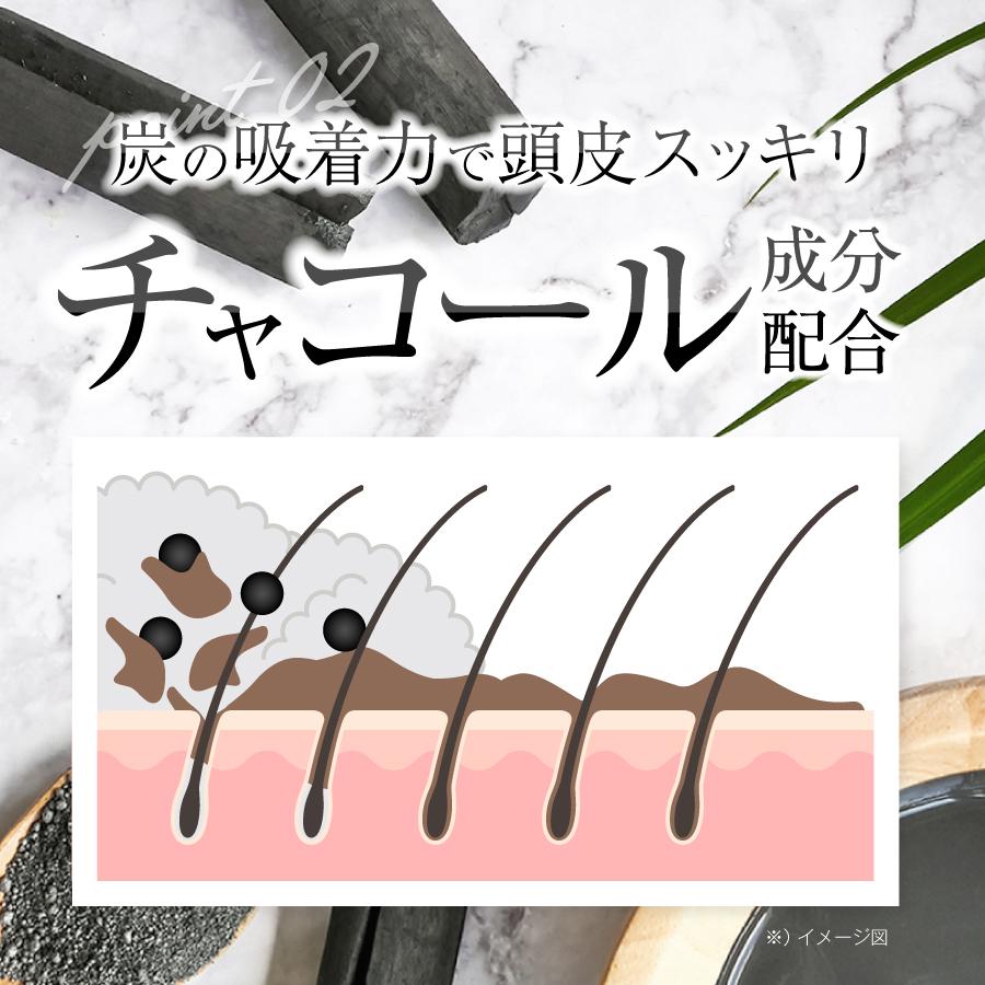 公式 シーグレイ│ (単品)炭酸泡シャンプー 炭酸シャンプー 炭酸泡