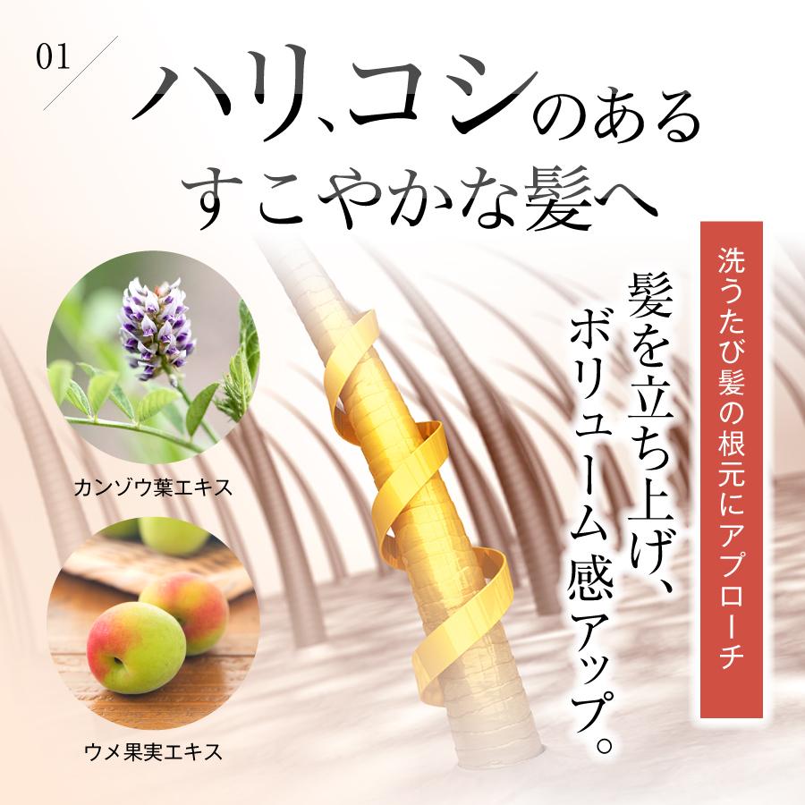 公式 シーグレイ│(2本セット) 炭酸泡シャンプー 炭酸シャンプー 炭酸