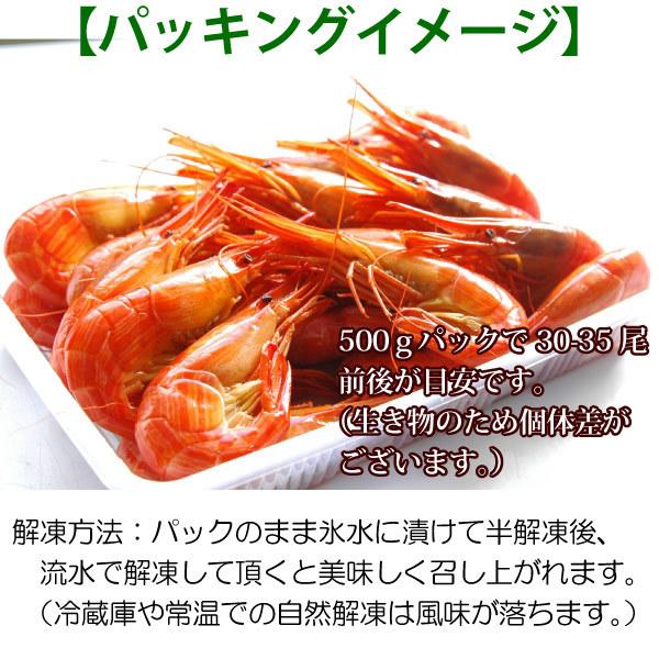 シマエビ 500gパック Lサイズ しまえび 特選 北海シマエビ しま海老 北海道 エビ えび お歳暮|maru-mi-shop|02