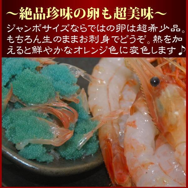 売れ筋商品 ボタンエビ 特大サイズ 500g 1パック約8 10尾前後 ぼたんえび ボタン海老 刺し身 Wantannas Go Id
