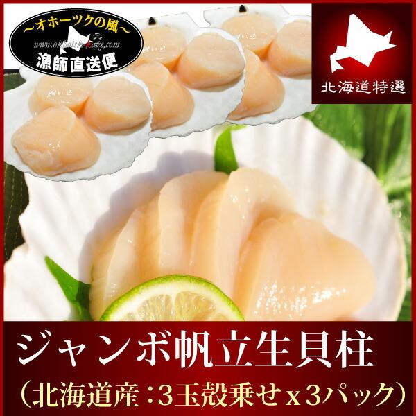 天然 ほたて 生貝柱 3玉殻乗せx3パックセット 北海道 野付産 ホタテ 帆