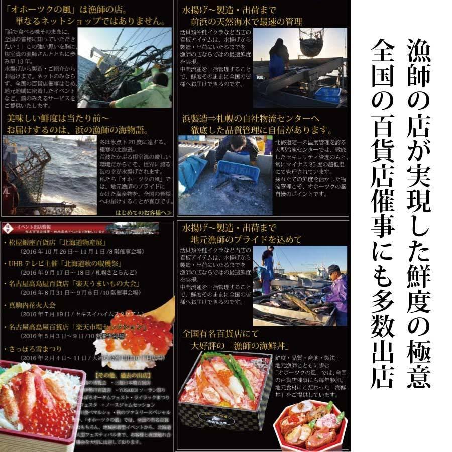 サケ 銀とろ ルイベ 400g 天然サーモン 鮭 サーモン さけ 刺身 刺し身 北海道産 北海道 お歳暮|maru-mi-shop|06