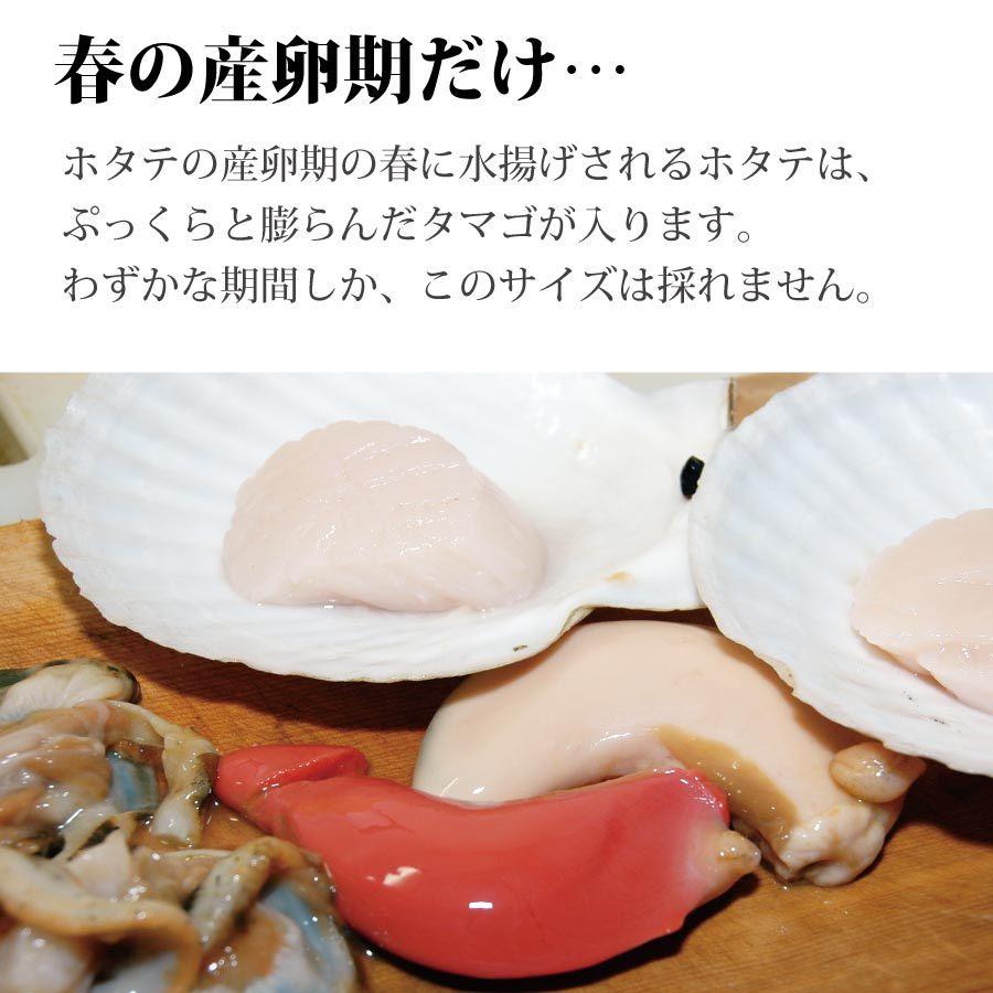 ホタテ たまご 0gパック 北海道 野付産 ほたて 卵 帆立 北海道産 卵巣 精巣 タマゴ ボイル お年賀 Hotatetamago 1 オホーツクの風 北海道かに専科 通販 Yahoo ショッピング