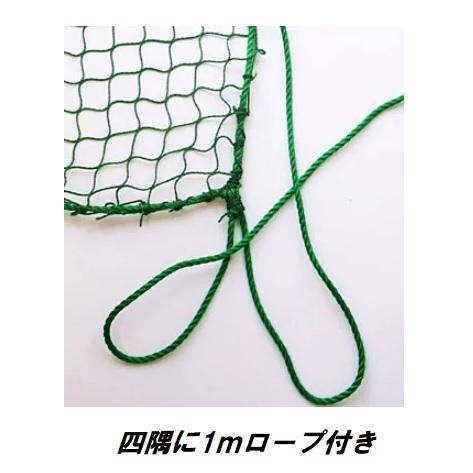 多目的 PP養生用 グリーンネット 約5m×5m 25mm目 5×5m 収納ケース