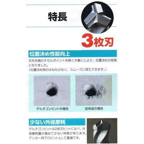 ミヤナガデルタゴンビットSDSプラス（ロングサイズ）18.0×216mm : 丸久 