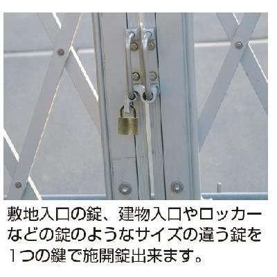 SOL HARD（ソールハード） シリンダー南京錠『共通同一鍵』 No.2500 45