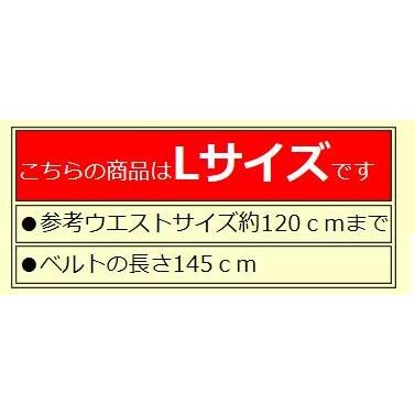 Tajima（タジマ） タジマ安全帯胴ベルト【Lサイズ】BWL145ボーダー鍛造