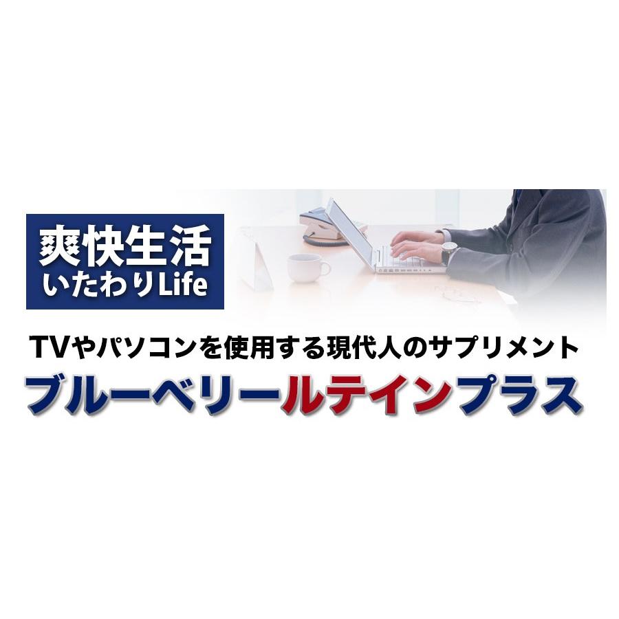 ブルーベリールテインプラス60粒×3個 :2431-03:格安販売 マルアイドラッグ - 通販 - Yahoo!ショッピング ブルーベリールテインプラス60粒×3個 :2431-03:格安販売 マルアイドラッグ - 通販 - Yahoo!ショッピング
