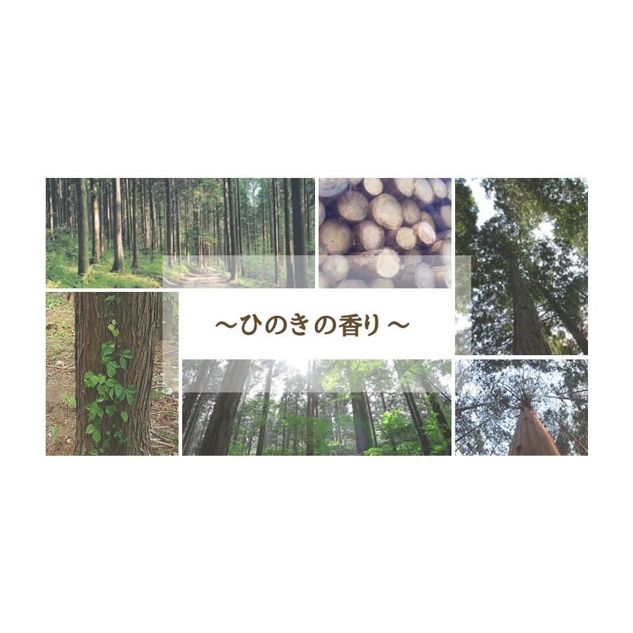 よもぎ蒸しヒノキ椅子≪送料無料、代引不可、日時指定不可≫_2