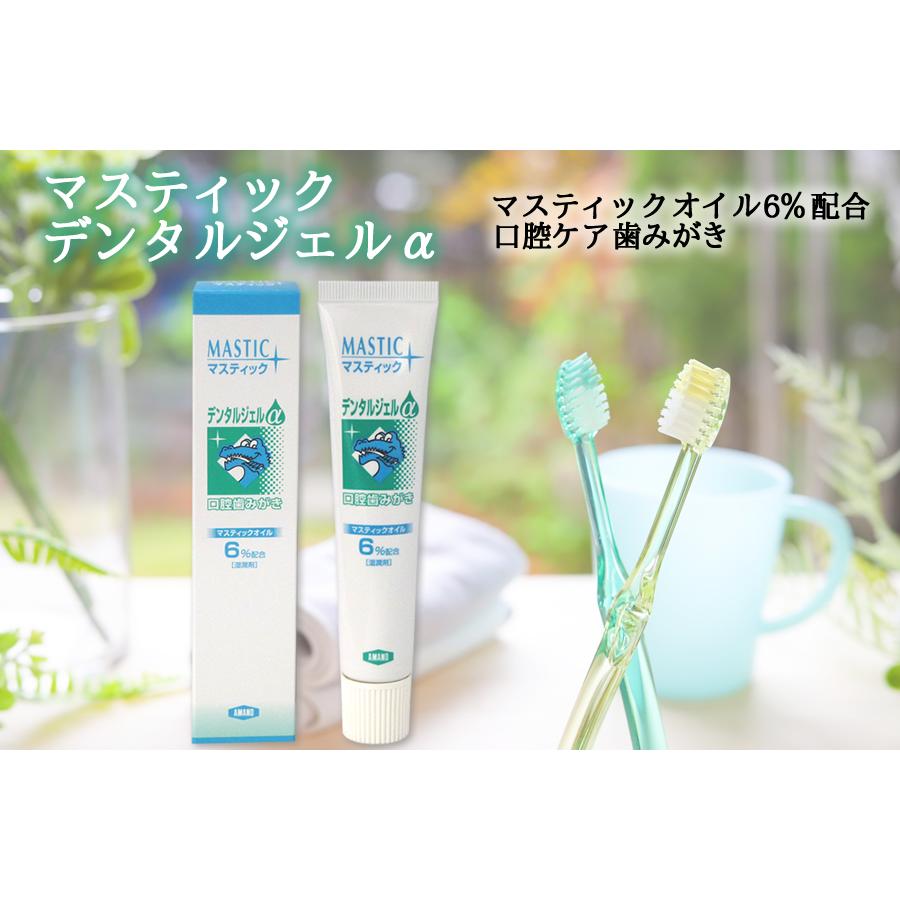 マスティック デンタルジェルα45g≪宅配便対応≫ : マルアイドラッグ