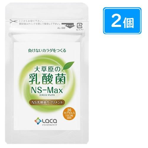 大草原の乳酸菌NS-Max(36粒×2袋)+8粒増量 : マルアイドラッグ - 通販 