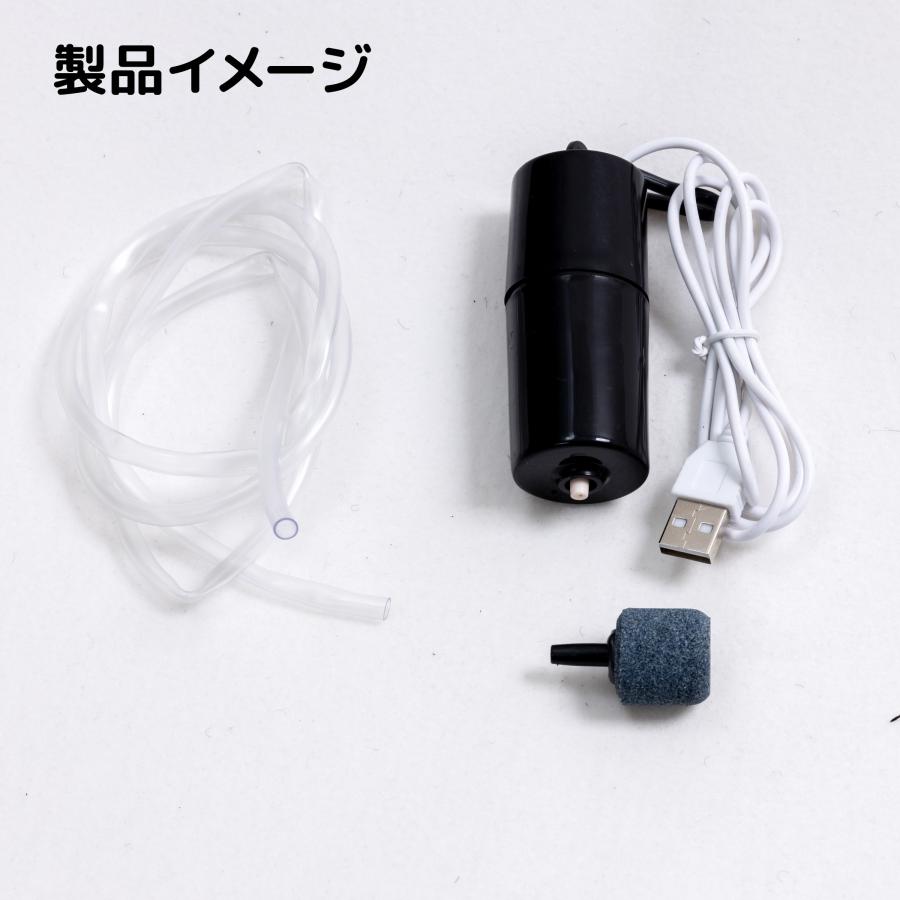 エアーポンプ エアポンプ 水槽 釣り 電動ポンプ エアレーション