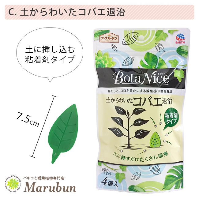 虫退治 Botanice ボタナイス 飛びまわるコバエ退治 スプレータイプ 土からわいたコバエ退治 粘着タイプ 土にまくだけ虫退治 粉タイプ 観葉植物 アース製薬 Goods Botanice パキラと観葉植物専門店 Marubun 通販 Yahoo ショッピング