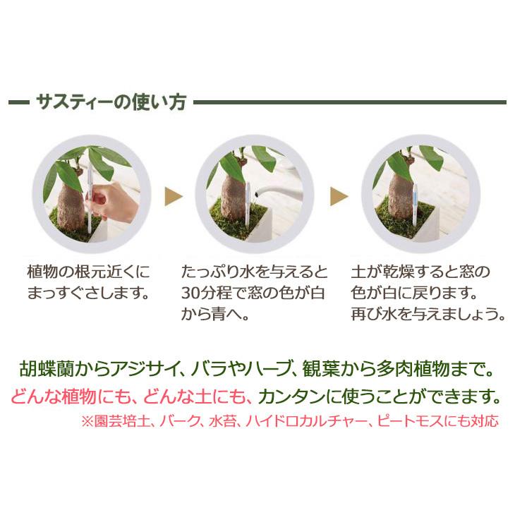 注文後の変更キャンセル返品 Naito Lavender ペア Black カラーred ノルディックウォーキングポール ナイト