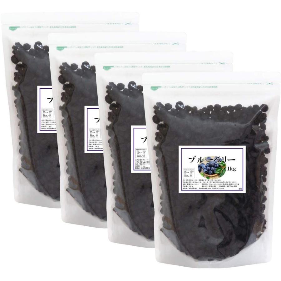 高質で安価 自然健康社 ブルーベリー 1kg 4個 チャック付き袋入り 魅了 Zoetalentsolutions Com