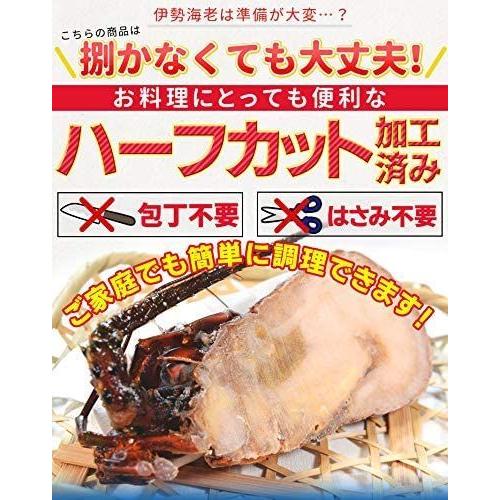 Seal限定商品 伊勢海老半身 小サイズ６個 鮮度の良い三重県産伊勢海老を瞬間凍結 調理しやすいよう半分にカット 海鮮 バーベキュー q テルミドール イ 春夏新色 Theculturewire Com