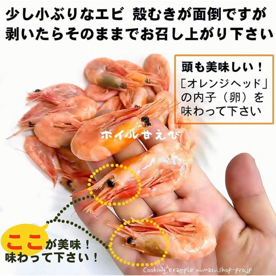 正規品 ボイル冷凍甘海老 5k 配送員設置送料無料 Zoetalentsolutions Com