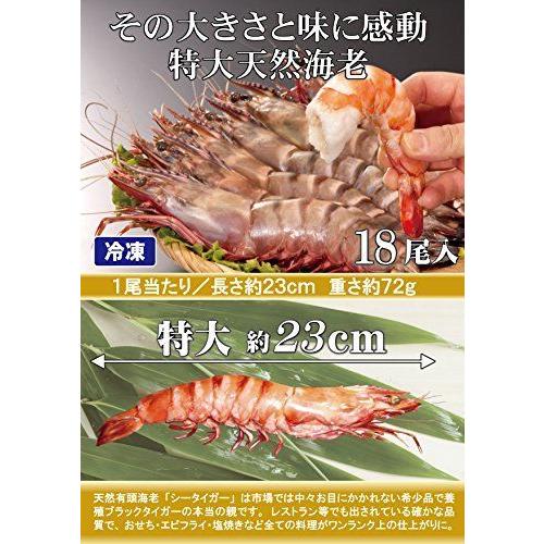 Web限定 特大海老１８尾入 長さ約２３ｃｍ 冷凍 エビフライ 鉄板焼き 海鮮 バーベキューにおすすめ 超目玉 Zoetalentsolutions Com