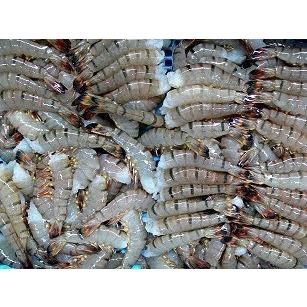 Rakuten 一般品無頭ブラックタイガーエビ 規格 13 15 約32g 尾 約56尾 ワンフローズン 楽天カード分割 Zoetalentsolutions Com