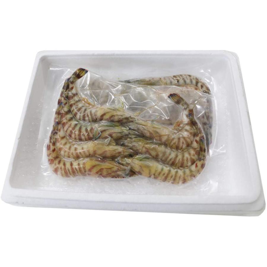 値引 車海老活〆生冷凍 約14 16尾 210g 2 九州産 天草 エビ キングマカデミアンjapan 半額品 Zoetalentsolutions Com