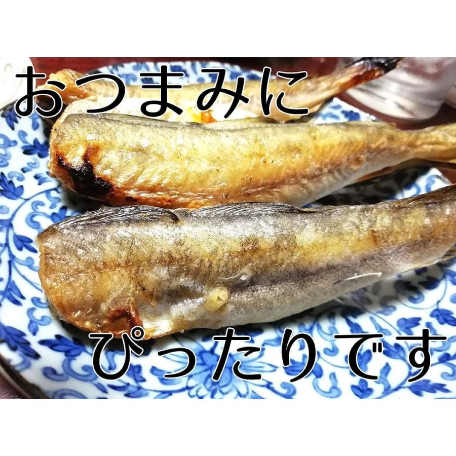 1９日まで最大ポイント１０倍 むしり氷下魚 送料無料 珍味 90ｇ 氷下魚 こまい お取り寄せグルメ つまみ コマイ おつまみ