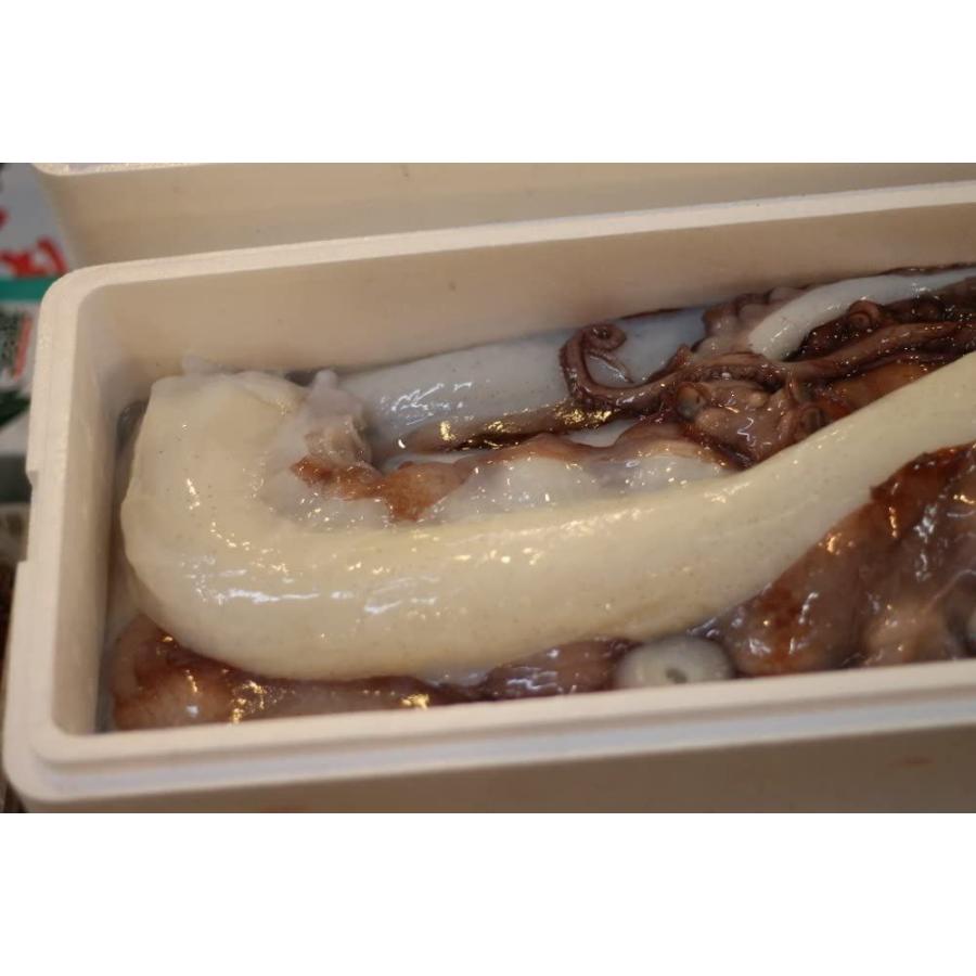発売モデル 生蛸足 タコ足 国産 北海道 岩手他 築地直送 1kg 刺身 水蛸 ミズダコ 水ダコ生タコ足１k Wantannas Go Id