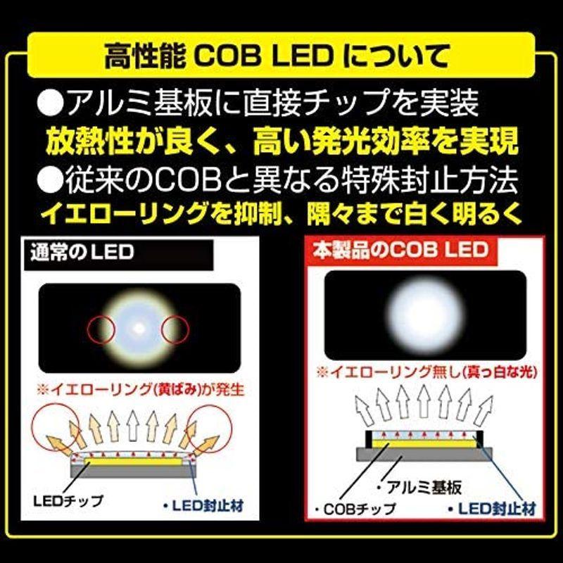 IPF ルームランプ LED T10/T13/T16 バルブ COB 側面照射タイプ 100ルーメン 6000K 307R  :20220202115009-00335:marucoマーケット - 通販 - Yahoo!ショッピング