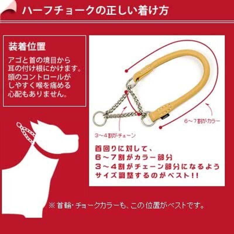 Ashu 大型犬用 ハーフチョークツーライン ハーフチョーク レッド 中型犬 大型犬 しつけ用首輪 Www Mantraman Com Mx