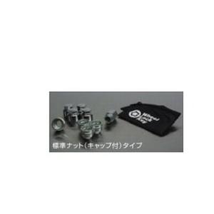 ニッサン ルークス【B44A B47A B48A】　ホイールロックセット(アルミホイール用セット)[D0224-T155C]