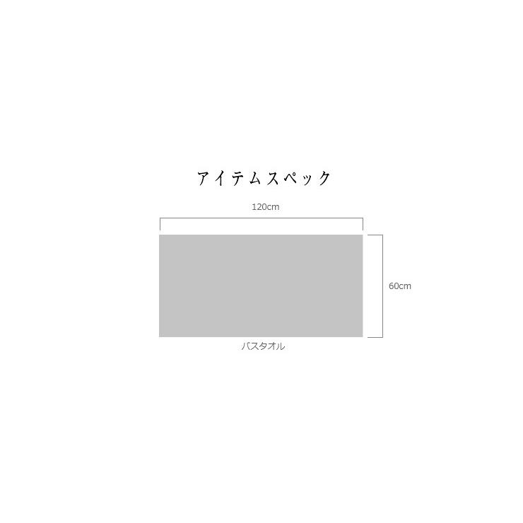 今治タオル ギフトセット イデゾラパイルセット2 バスタオル×2 お歳暮 お中元 内祝い 贈り物 日本製 ナチュラルタイム ideeZora｜maruei-towel｜07