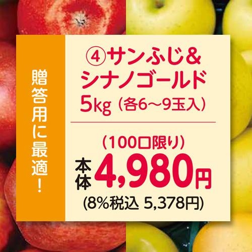 りんご 林檎（贈答用）（予約）（4）長野県産中島農園サンふじ