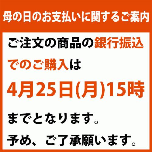 新品 母の日 ミディ胡蝶蘭 母2 ユミ