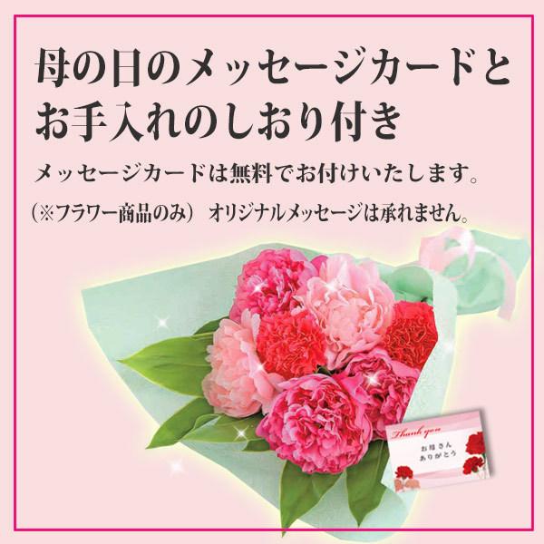 新品 母の日 ミディ胡蝶蘭 母2 ユミ