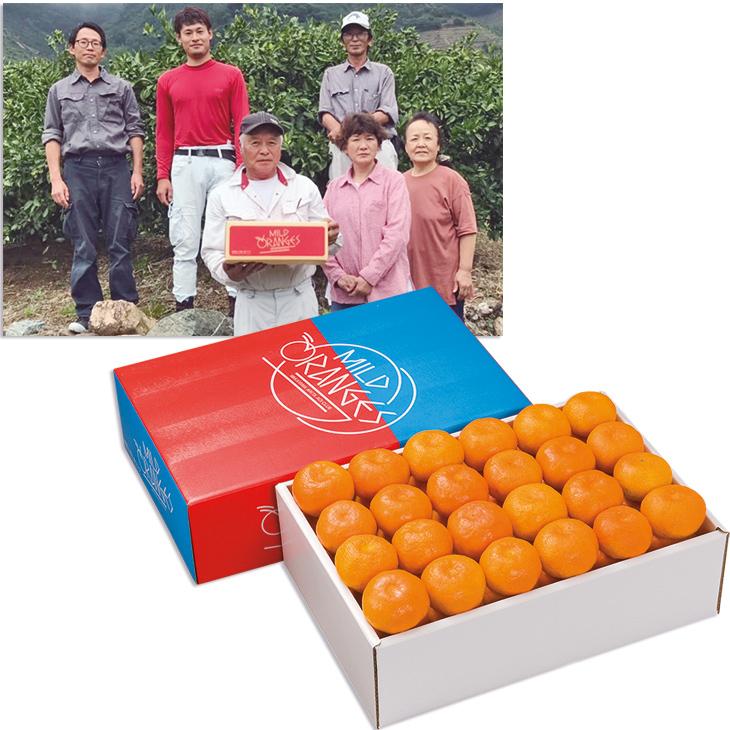 銀行振込決済受付は終了しました 和歌山県産 有田葵クラブの手詰めみかん 2 21冬 マルエツ ふれあいショッピング 通販 Paypayモール