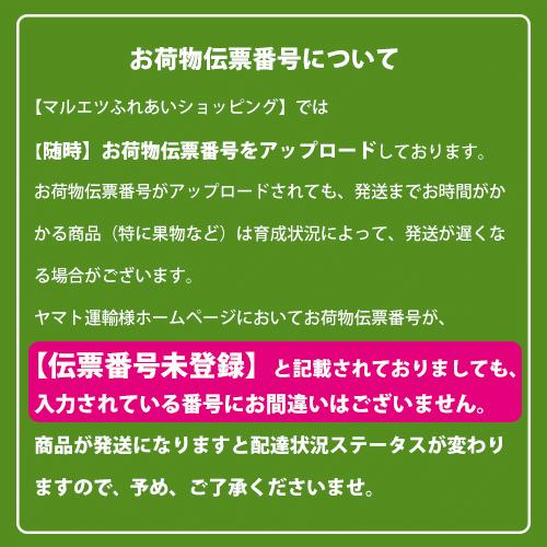 お中元 ギフト ドウシシャ ブレンディ&ユニカフェ&ハマヤギフト MIO-30D(250_22夏)|マルエツ ふれあいショッピング|03