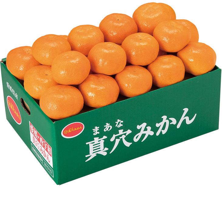 銀行振込は終了しました】お歳暮 愛媛県産 真穴みかん （220_25冬