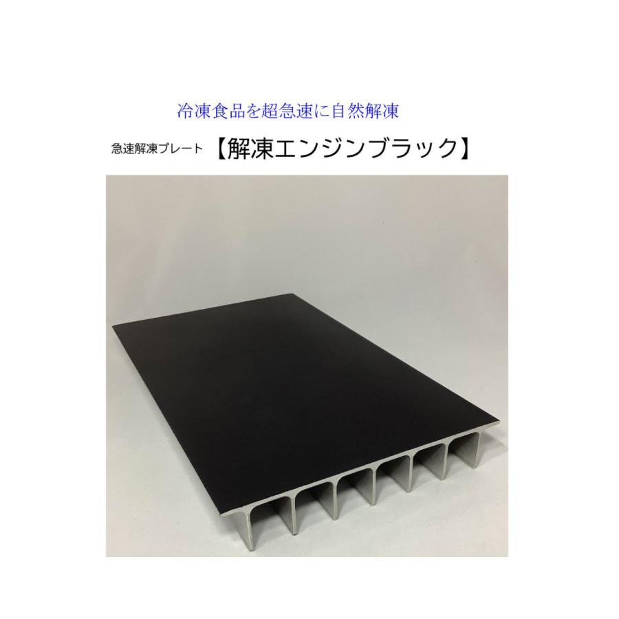 解凍エンジンブラック |  | 02