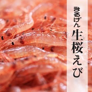生桜えび100g｜静岡県産　由比｜製造元自社から発送｜ |  | 07