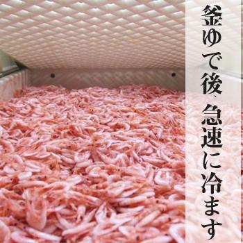釜あげ桜エビ250g｜静岡県由比産｜製造元自社から発送｜ : まる