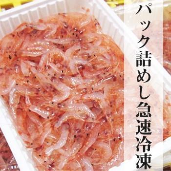 生桜海老500g 静岡県産由比港 109 まるげん 通販 Yahoo ショッピング
