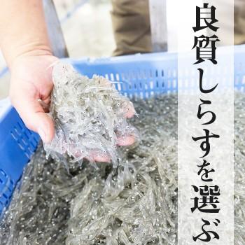 しらす 釜揚げしらす「銀凪」 350g×3袋 しらす ちりめん ym-0007