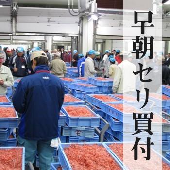 2026年春漁新物 桜エビ、しらす「楽四味（たのしみ）セット」 送料込　由比港水揚げ 駿河湾桜えび 静岡県産を安心して |  | 02