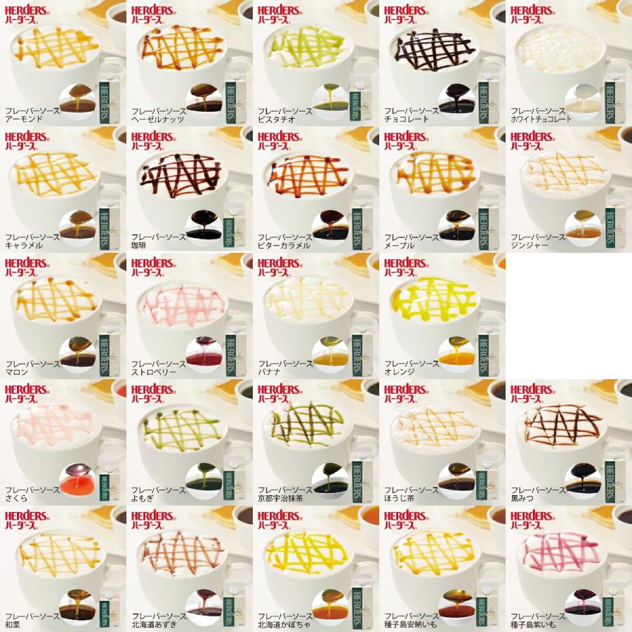 ハーダース カフェ用フレーバーソース 500ml アイス コーヒー シロップ トッピング ドリンク パンケーキ ビターカラメル マキアート ミルク  ラテ マート ビターカラメル