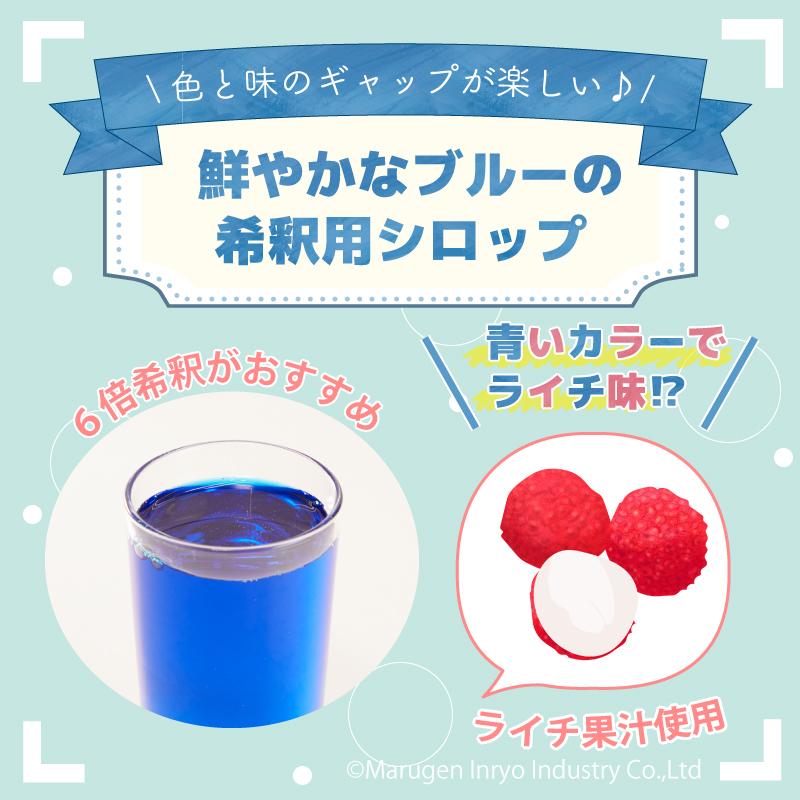 HERDERS（ハーダース） モナミキサー ブルーライチ 業務用 500ml×12本