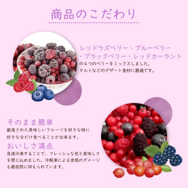 HERDERS ＜冷凍フルーツ＞ハーダース IQFフルーツ ミックスベリー300g