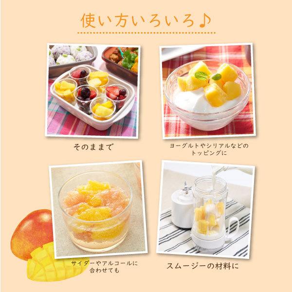 HERDERS ＜冷凍フルーツ＞ハーダース IQFカットフルーツ