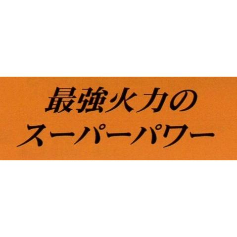 TGスーパーシリーズ タチバナ 下枠セット 種火付 五徳セット TG TGスーパーシリーズ タチバナ 下枠セット 種火付 五徳セット TG