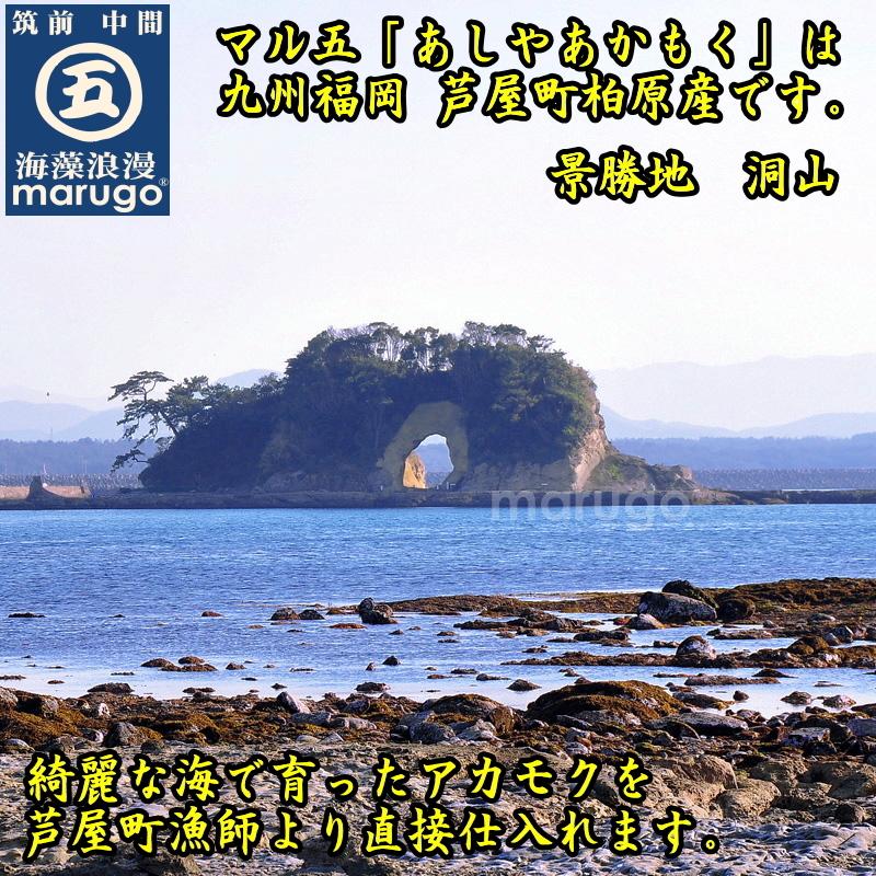 九州産 あしやあかもく 無添加 無調味 50ｇ×60本セット 送料無料（ただし追加送料 北海道1000円 東北・沖縄500円）レビュー書くとプレゼント付♪｜marugoshop｜05