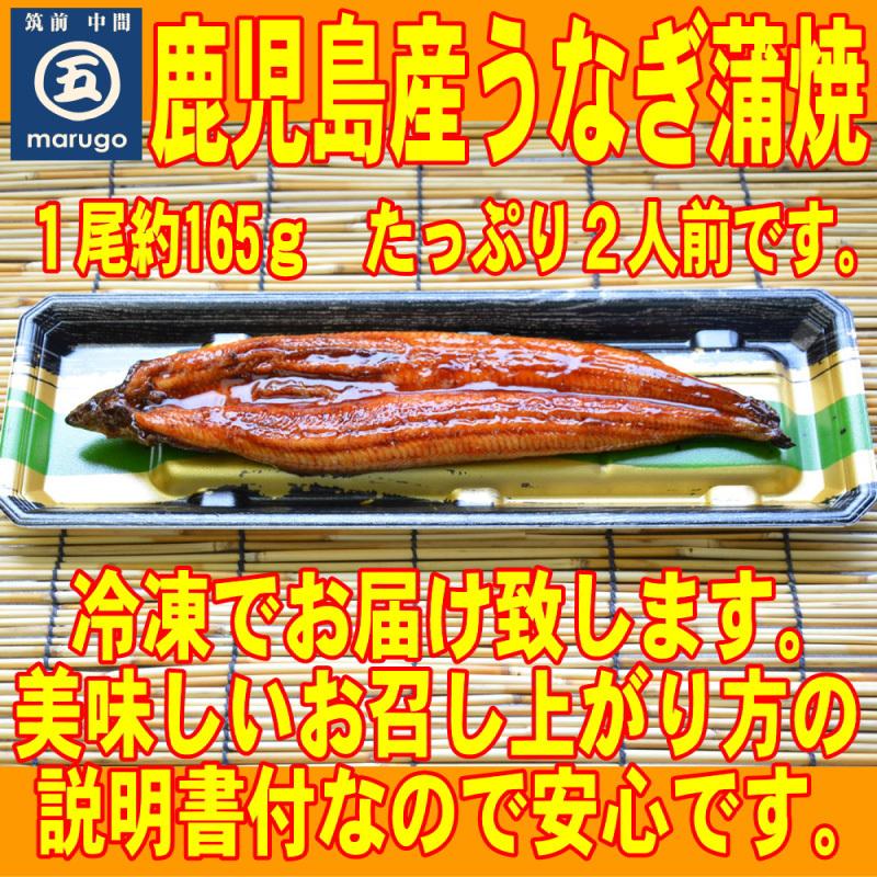 お届け日時指定可！九州産うなぎ蒲焼１㎏（捌きミス・冷凍便） お届け日時指定可！九州産うなぎ蒲焼1㎏（捌きミス・冷凍便）